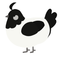 A white and black chicken with a head pattern