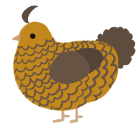 A ochre and bark chicken with a lace pattern