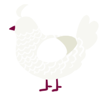 A white chicken with a lace pattern