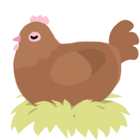 A brown chicken with a head pattern