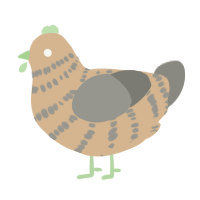 (unnamed), a beige and ash chicken with a bar pattern