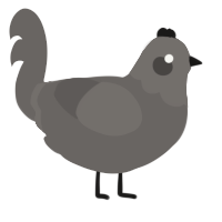 A grey chicken with a head pattern