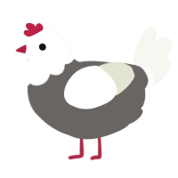 A grey and white chicken with a head pattern