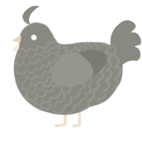 A ash chicken with a lace pattern
