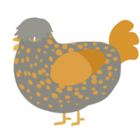 A ash and orange chicken with a speckle pattern