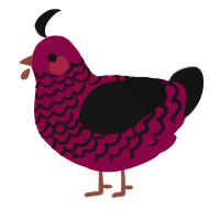 A maroon and black chicken with a lace pattern