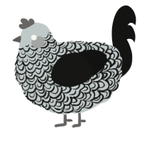 A silver and black chicken with a double-lace pattern