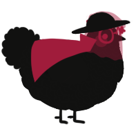 A black chicken with a double-lace pattern