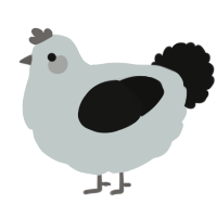 A silver and black chicken