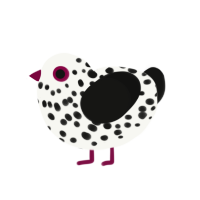 Cuter, a white and black chicken with a speckle pattern