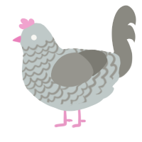 A silver and ash chicken with a lace pattern