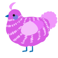 A orchid and lavender chicken with a bar pattern