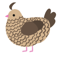 A beige and bark chicken with a lace pattern