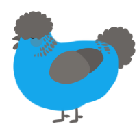 A sky and grey chicken with a neck-band pattern