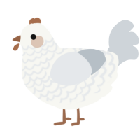 A white and mist chicken with a lace pattern