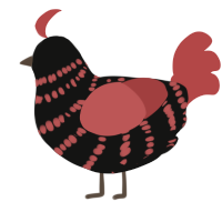 A black and red chicken with a bar pattern