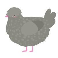 A ash chicken with a speckle pattern
