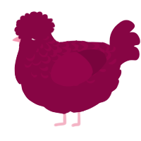 A maroon chicken with a half-lace pattern