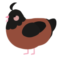 A russet and sable chicken with a head pattern