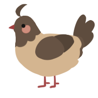 A beige and bark chicken with a head pattern