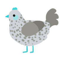 A mist and ash chicken with a speckle pattern
