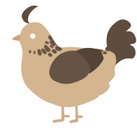 A beige and bark chicken with a neck-speckle pattern