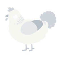 A white and mist chicken with a neck-band pattern