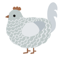 A silver and mist chicken with a lace pattern