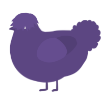 A overcast chicken