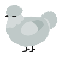 A silver chicken with a head pattern