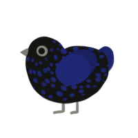 Meteorite, a black and navy chicken with a speckle pattern