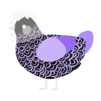 A sable and lilac chicken with a double-lace pattern