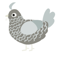 A ash and silver chicken with a lace pattern