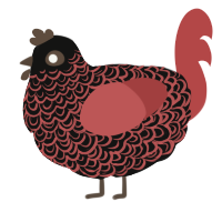 A black and red chicken with a double-lace pattern