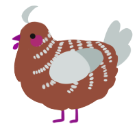 A russet and silver chicken with a half-bar pattern