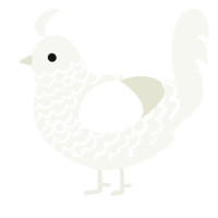 A white chicken with a lace pattern