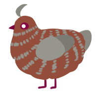 A russet and ash chicken with a bar pattern