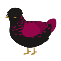 A sable and maroon chicken with a half-lace pattern