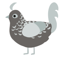 A grey and silver chicken with a half-lace pattern
