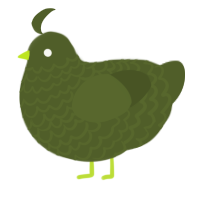 A olive chicken with a lace pattern