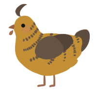 A gold and bark chicken with a half-bar pattern