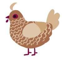 A brown and beige chicken with a lace pattern