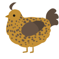 A gold and bark chicken with a speckle pattern