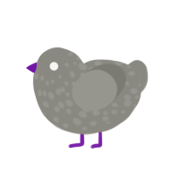 Silver, a ash chicken with a speckle pattern