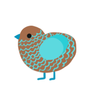 (unnamed), a brown and aqua chicken with a lace pattern