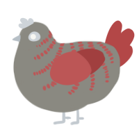 A ash and red chicken with a half-bar pattern