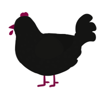 A black chicken with a speckle pattern