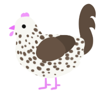 A white and bark chicken with a speckle pattern