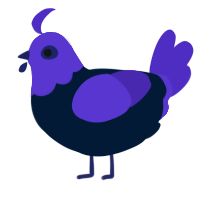 A tumblr and indigo chicken with a head pattern