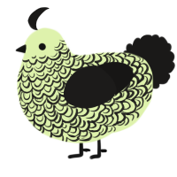 A apple and sable chicken with a double-lace pattern